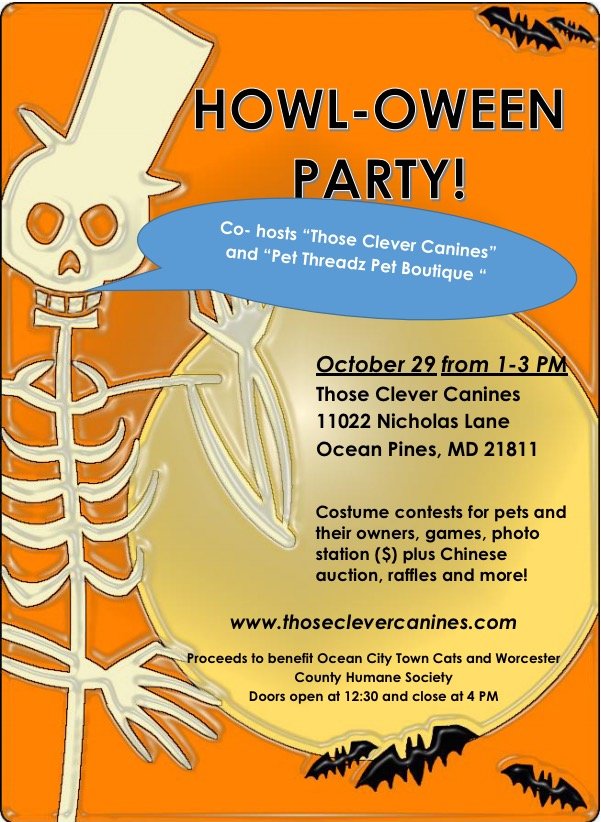 a flyer for a halloween party with a skeleton