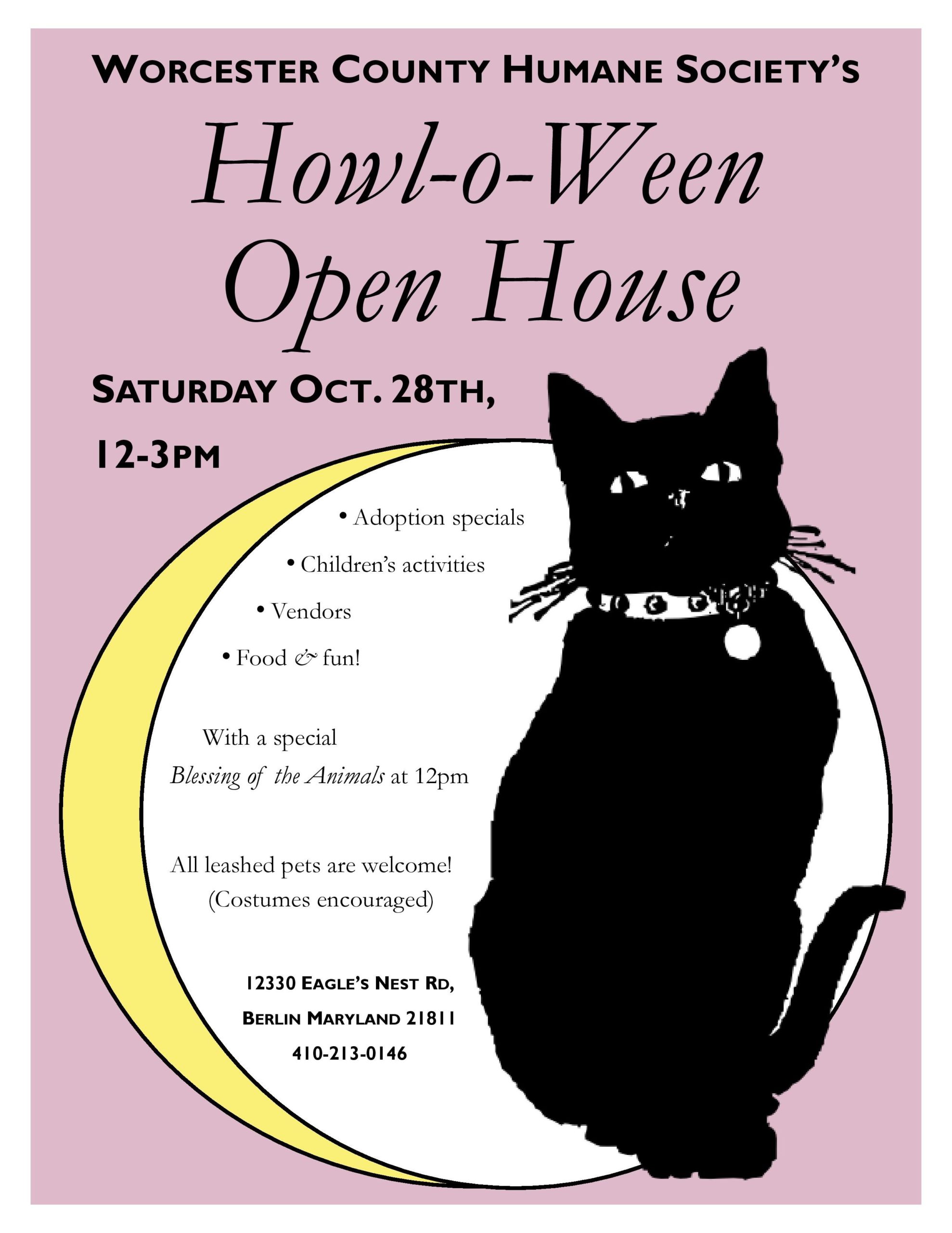 a flyer for a cat show with a black cat sitting on the moon