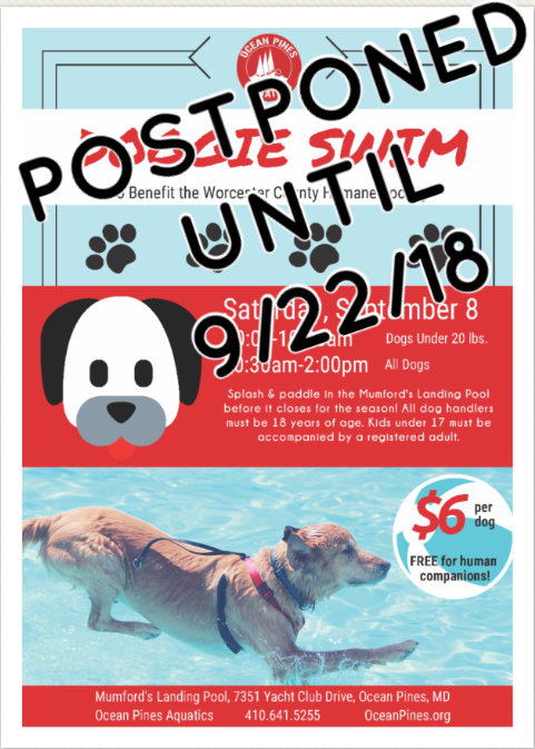 a poster for a dog show with a dog swimming in the water