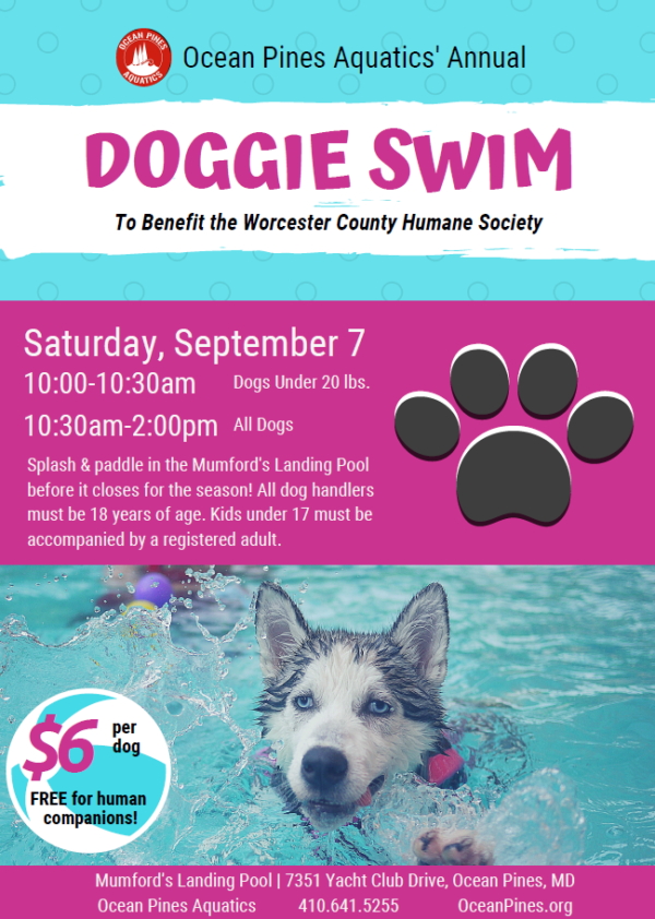 Ocean Pines Aquatics' Annual Doggie Swim Worcester County Humane