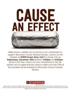 chipotle west ocean city fundraiser to support Worcester County Humane Society December 18 4pm-8pm