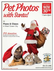 cat and dogs with santa for photos to raise money for humane society