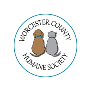 Worcester County Humane Society | No Kill Shelter